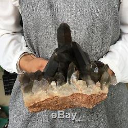 6.93LB Natural smokey quartz cluster specimen crystal healing S5672