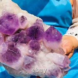 6.9LB Natural Amethyst geode quartz cluster crystal specimen Healing