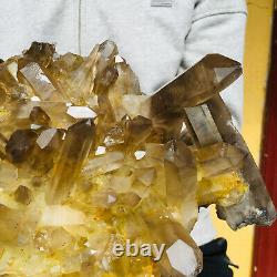 6100g Large Natural Smoky Citrine Quartz Crystal Cluster Rough Healing Specimen