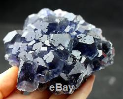 650.2g NATURAL Blue FLUORITE Quartz Crystal Cluster Mineral Specimen