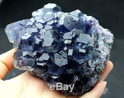 650.2g NATURAL Blue FLUORITE Quartz Crystal Cluster Mineral Specimen