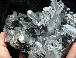 657g Natural Clear Crystal Cluster &Flower Shape Specularite Mineral Specimen
