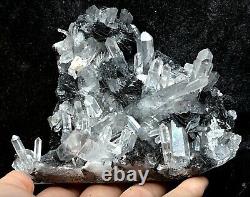 657g Natural Clear Crystal Cluster &Flower Shape Specularite Mineral Specimen