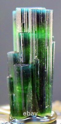 66.70 carats Blue Caped Tourmaline DT Cluster crystal from Afghanistan