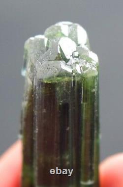 66.70 carats Blue Caped Tourmaline DT Cluster crystal from Afghanistan