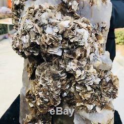 66.88LB Giant natural crystal backbone quartz mica cluster sample K4
