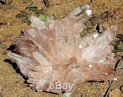 66.88lb AA++ Huge Nice Clear Natural Pink QUARTZ Crystal Cluster Specimen Rare