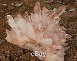 66.88lb AA++ Huge Nice Clear Natural Pink QUARTZ Crystal Cluster Specimen Rare