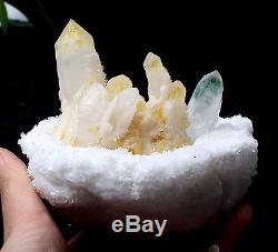 696.9g New Find Green&Yellow Phantom Quartz Crystal Cluster Mineral Specimen