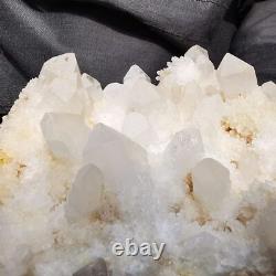7.01LB Natural white Quartz Pineapple Cluster Mineral Crystal Specimen Healing
