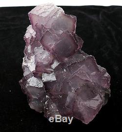 7.06lb NATURAL Purple. Green FLUORITE Quartz Crystal Cluster Mineral Specimen