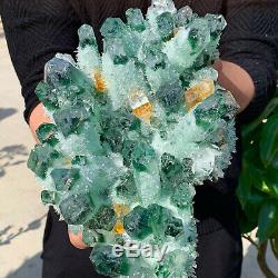 7.34LB New Find Green Phantom Quartz Crystal Cluster Mineral Specimen Healing