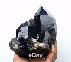 7.3LB Natural Beauty Rare Black Quartz Crystal Cluster Mineral Specimen