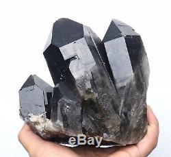 7.3LB Natural Beauty Rare Black Quartz Crystal Cluster Mineral Specimen