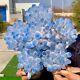 7.59lb New Find Sky Blue Phantom Quartz Crystal Cluster Mineral Sample