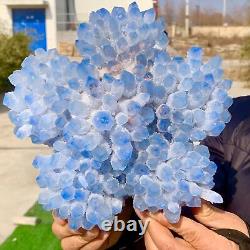 7.59LB New find sky blue phantom quartz crystal cluster mineral sample