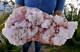 7.8 Lb 15 Inches World Class Museum Pink Halite Crystal Cluster/trona California