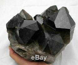 7076g Rare Beautiful Black QUARTZ Crystal Cluster Tibetan Specimen
