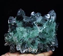 722g New Find Beatiful Green Tibetan Phantom Quartz Crystal Cluster Specimen