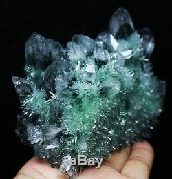 722g New Find Beatiful Green Tibetan Phantom Quartz Crystal Cluster Specimen