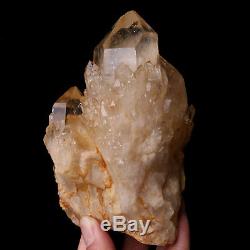 740g Natural Clear Smoky Citrine Quartz Point Crystal Cluster Healing From Congo