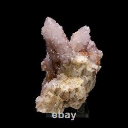 762g Natural Amethyst Quartz Crystal Cluster Point Healing Mineral Specimen