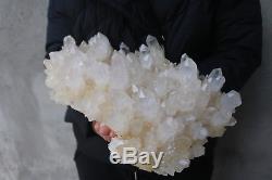 7700g Natural Beautiful Clear Quartz Crystal Cluster Tibetan Specimen B841