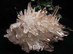 7765g AAA Clear Natural Beautiful Pink QUARTZ Crystal Cluster Specimen