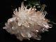 7765g Aaa Clear Natural Beautiful Pink Quartz Crystal Cluster Specimen