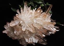 7765g AAA Clear Natural Beautiful Pink QUARTZ Crystal Cluster Specimen