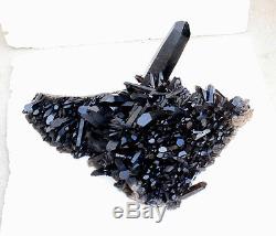 79.86LB Natural Rare Beautiful Black QUARTZ Crystal Cluster Mineral Specimen