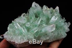790g AAA Rare NATURAL Green Ghost pyramid Quartz Crystal Cluster Specimen