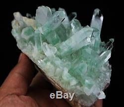 790g AAA Rare NATURAL Green Ghost pyramid Quartz Crystal Cluster Specimen