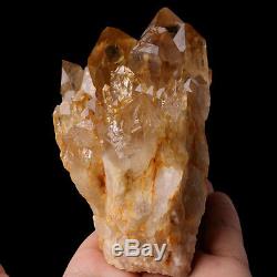 795g Natural Clear Smoky Citrine Quartz Point Crystal Cluster Healing From Congo