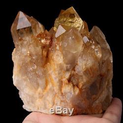 795g Natural Clear Smoky Citrine Quartz Point Crystal Cluster Healing From Congo