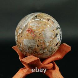 798g Rare Natural Pretty Agate Crystal Geode Sphere Cluster Ball