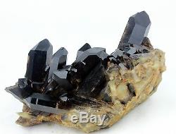 7Ib AAA+++ Beautiful Black Quartz Crystal Cluster Specimen Rare