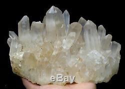 7lb New Find Rare NATURAL White Clear Quartz Crystal Cluster Specimen