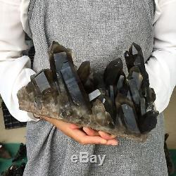 8.03LB Natural smokey quartz cluster specimen crystal healing S5674