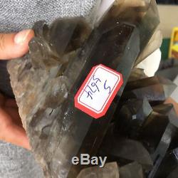 8.03LB Natural smokey quartz cluster specimen crystal healing S5674