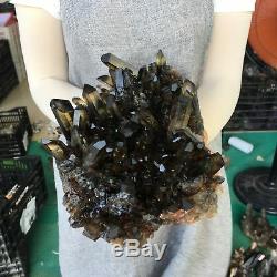 8.27LB Natural smokey quartz cluster crystal specimen healing E8359