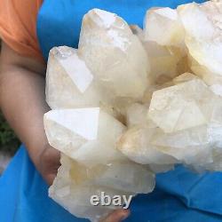 8.91LB Natural White Clear Quartz Crystal Cluster Rough Healing Specimen