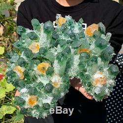 8.98LB New Find Green Phantom Quartz Crystal Cluster Mineral Specimen Healing