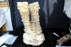 8173g Natural White Aragonite Cave Crystal Cluster Stalactite Specimen a12