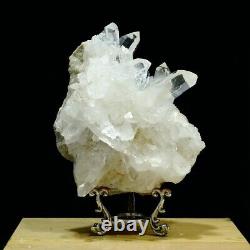 824g Natural Clear Crystal Mineral Specimen Quartz Crystal Cluster Decoration