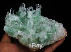 825g AAA Rare NATURAL Green Ghost pyramid Quartz Crystal Cluster Specimen
