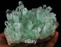 825g AAA Rare NATURAL Green Ghost pyramid Quartz Crystal Cluster Specimen