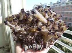 825g RARE New Find Natural Amethyst Citrine Quartz Crystal Cluster Specimen