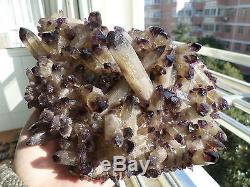 825g RARE New Find Natural Amethyst Citrine Quartz Crystal Cluster Specimen