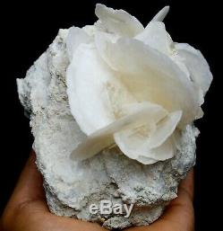 833.8g Beauty Rare White Schistose Calcite Crystal Cluster Mineral Samples/China